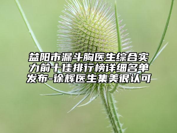 益阳市漏斗胸医生综合实力前十佳排行榜详细名单发布-徐辉医生集美很认可