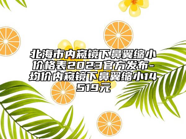 北海市内窥镜下鼻翼缩小价格表2023官方发布-均价内窥镜下鼻翼缩小14519元