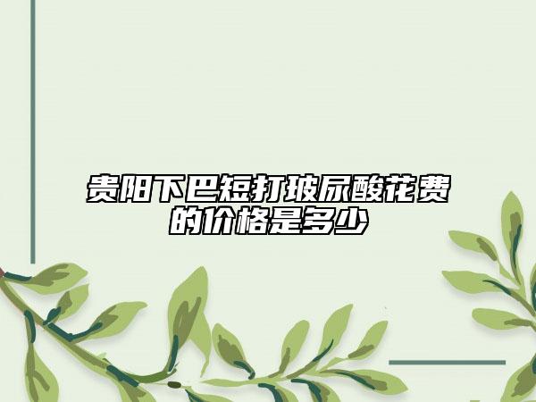贵阳下巴短打玻尿酸花费的价格是多少