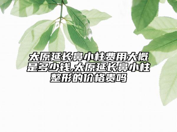 太原延长鼻小柱费用大概是多少钱,太原延长鼻小柱整形的价格贵吗