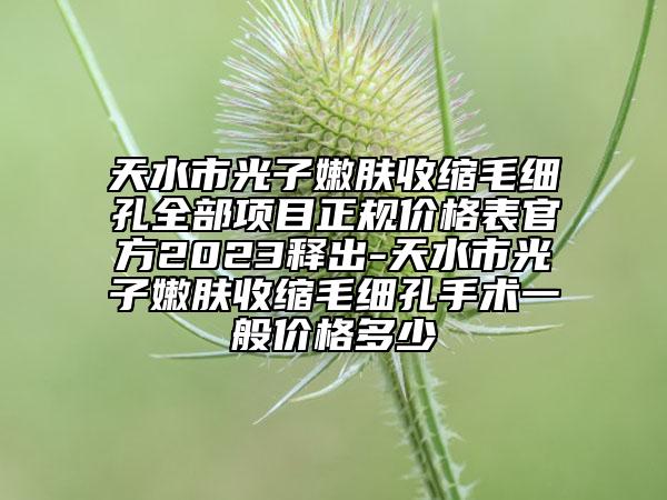 天水市光子嫩肤收缩毛细孔全部项目正规价格表官方2023释出-天水市光子嫩肤收缩毛细孔手术一般价格多少
