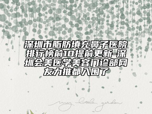 深圳市脂肪填充鼻子医院排行榜前10提前更新-深圳会美医学美容门诊部网友力推都入围了