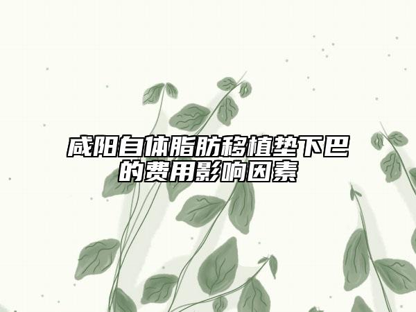 咸阳自体脂肪移植垫下巴的费用影响因素