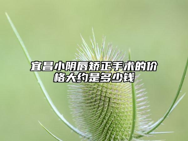 宜昌小阴唇矫正手术的价格大约是多少钱