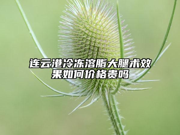 连云港冷冻溶脂大腿术效果如何价格贵吗