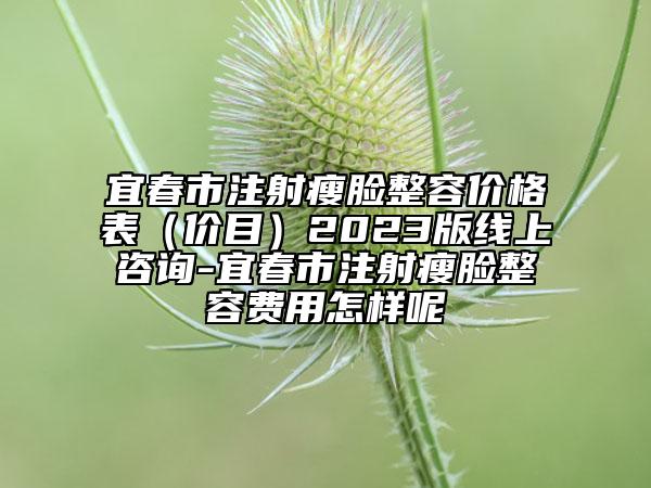 宜春市注射瘦脸整容价格表（价目）2023版线上咨询-宜春市注射瘦脸整容费用怎样呢