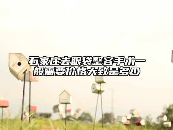 石家庄去眼袋整容手术一般需要价格大致是多少