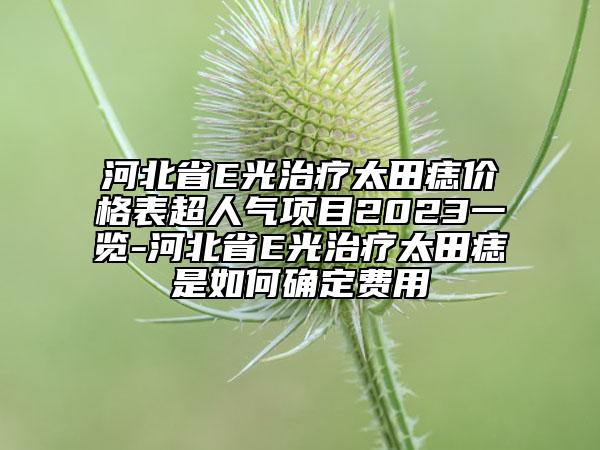 河北省E光治疗太田痣价格表超人气项目2023一览-河北省E光治疗太田痣是如何确定费用