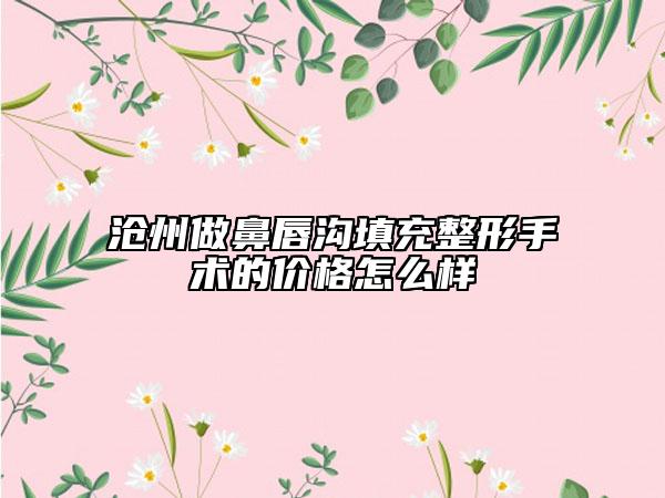 沧州做鼻唇沟填充整形手术的价格怎么样