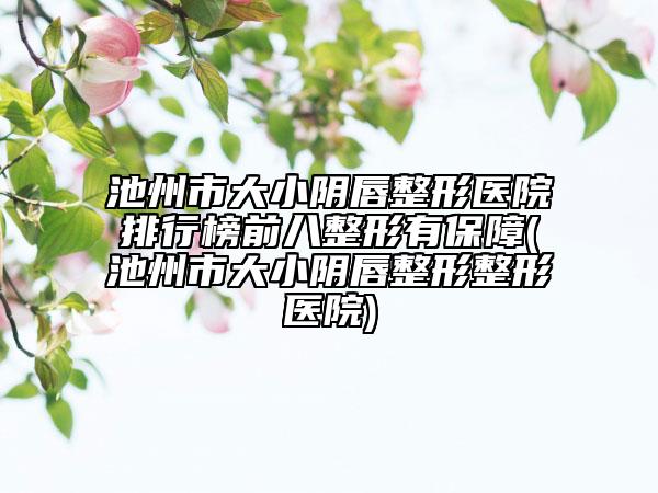 池州市大小阴唇整形医院排行榜前八整形有保障(池州市大小阴唇整形整形医院)