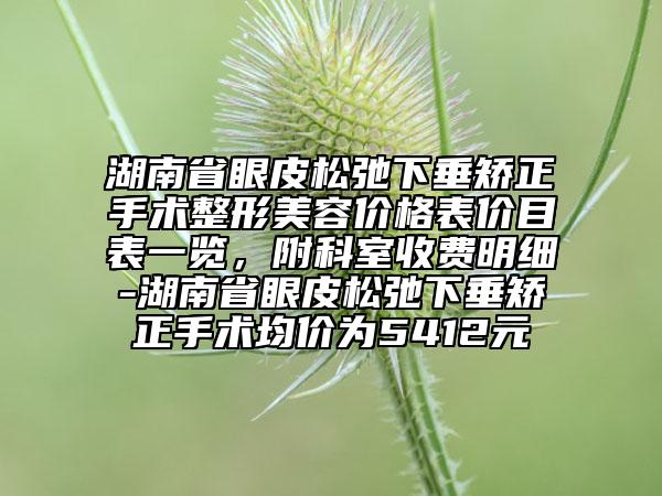 湖南省眼皮松弛下垂矫正手术整形美容价格表价目表一览，附科室收费明细-湖南省眼皮松弛下垂矫正手术均价为5412元