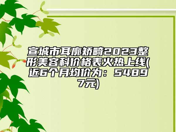 宣城市耳廓矫畸2023整形美容科价格表火热上线(近6个月均价为：54897元)