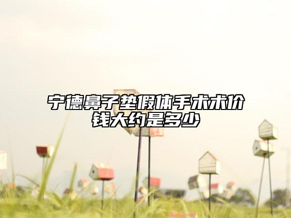 宁德鼻子垫假体手术术价钱大约是多少