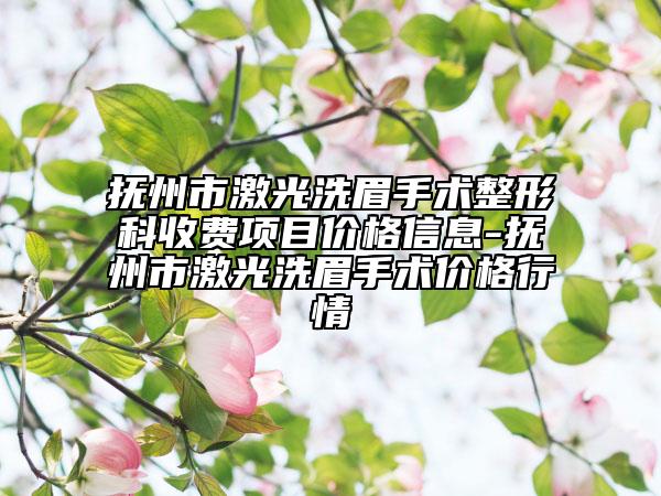 抚州市激光洗眉手术整形科收费项目价格信息-抚州市激光洗眉手术价格行情