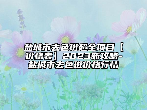 盐城市去色斑超全项目【价格表】2023新攻略-盐城市去色斑价格行情