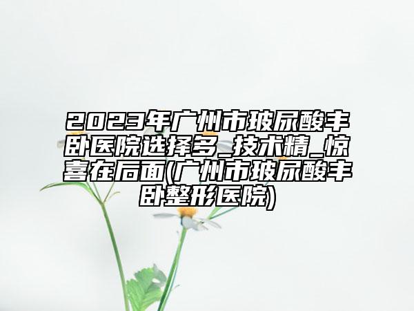 2023年广州市玻尿酸丰卧医院选择多_技术精_惊喜在后面(广州市玻尿酸丰卧整形医院)