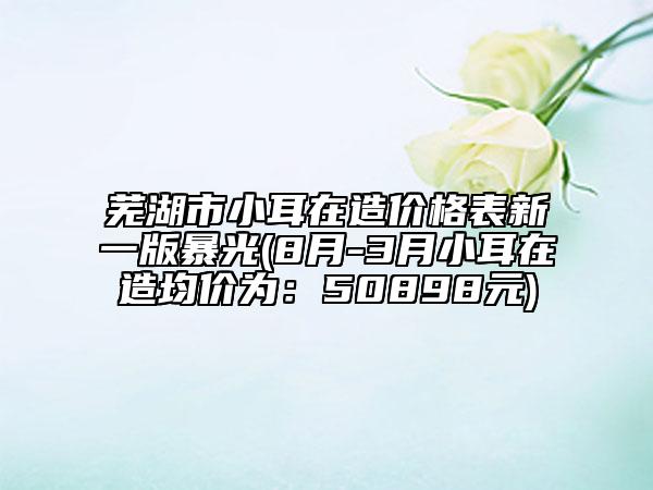 芜湖市小耳在造价格表新一版暴光(8月-3月小耳在造均价为：50898元)