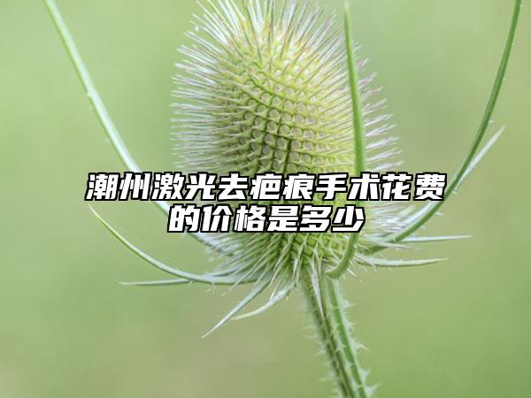 潮州激光去疤痕手术花费的价格是多少