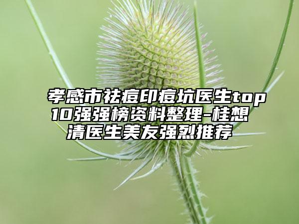 孝感市祛痘印痘坑医生top10强强榜资料整理-桂想清医生美友强烈推荐