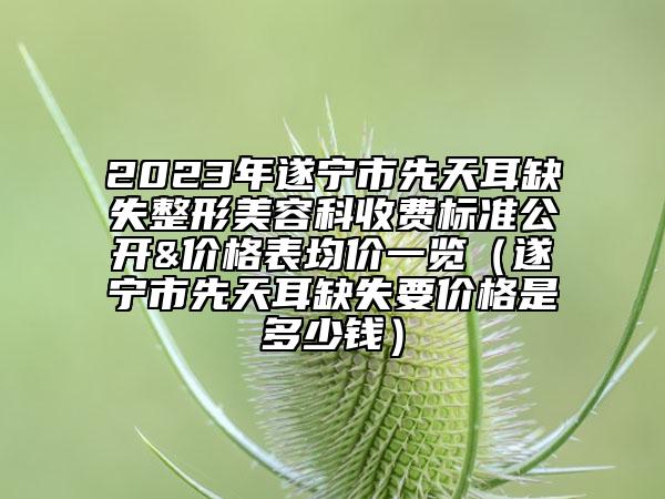2023年遂宁市先天耳缺失整形美容科收费标准公开&价格表均价一览（遂宁市先天耳缺失要价格是多少钱）