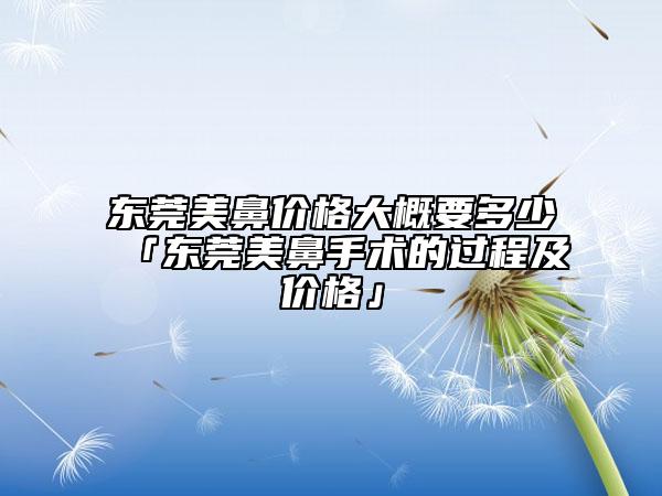 东莞美鼻价格大概要多少「东莞美鼻手术的过程及价格」