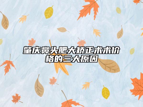 肇庆鼻头肥大矫正术术价格的三大原因