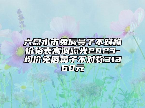 六盘水市兔唇鼻子不对称价格表高调曝光2023-均价兔唇鼻子不对称31360元