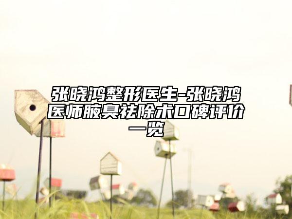 张晓鸿整形医生-张晓鸿医师腋臭祛除术口碑评价一览