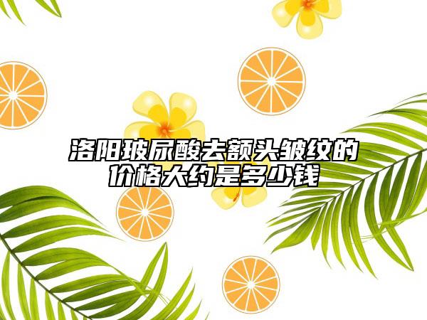 洛阳玻尿酸去额头皱纹的价格大约是多少钱