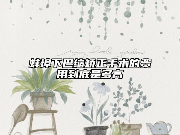 蚌埠下巴缩矫正手术的费用到底是多高
