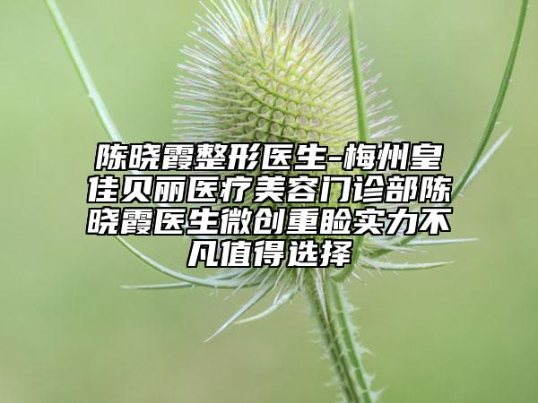 陈晓霞整形医生-梅州皇佳贝丽医疗美容门诊部陈晓霞医生微创重睑实力不凡值得选择