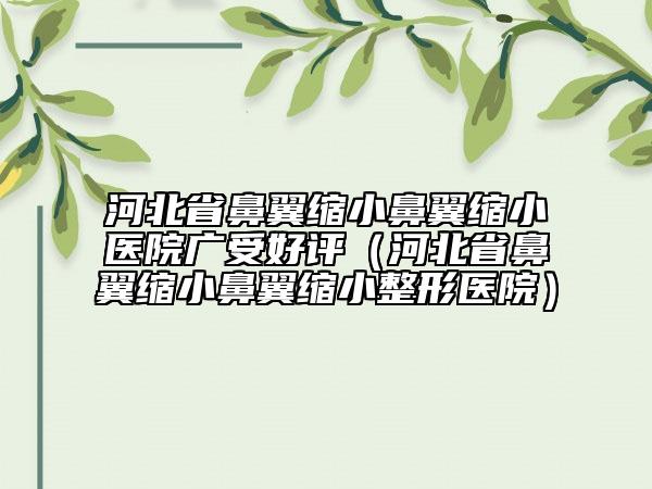 河北省鼻翼缩小鼻翼缩小医院广受好评（河北省鼻翼缩小鼻翼缩小整形医院）