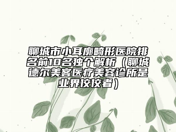 聊城市小耳廓畸形医院排名前10名独个解析（聊城德尔美客医疗美容诊所是业界佼佼者）