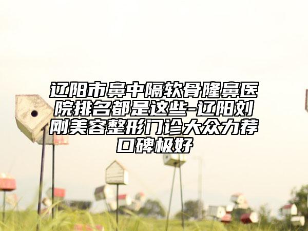 辽阳市鼻中隔软骨隆鼻医院排名都是这些-辽阳刘刚美容整形门诊大众力荐口碑极好