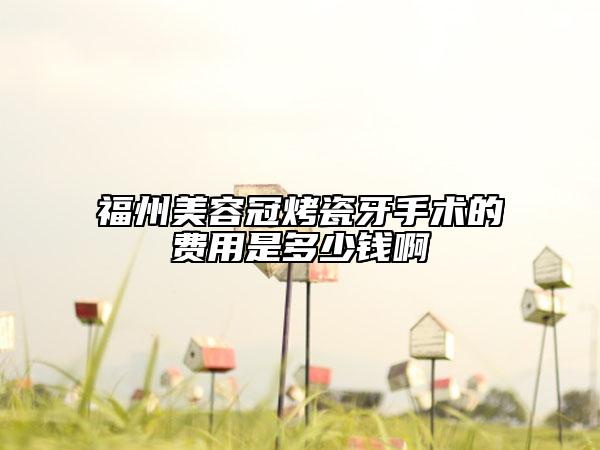 福州美容冠烤瓷牙手术的费用是多少钱啊