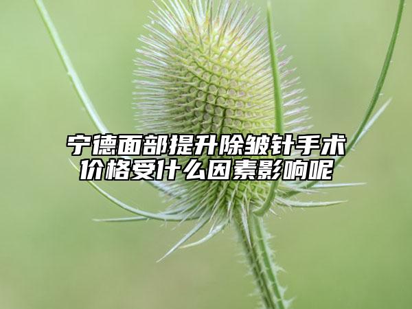 宁德面部提升除皱针手术价格受什么因素影响呢