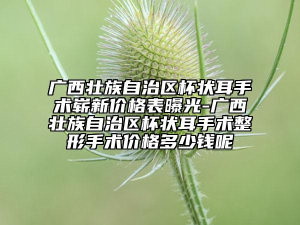 广西壮族自治区杯状耳手术崭新价格表曝光-广西壮族自治区杯状耳手术整形手术价格多少钱呢
