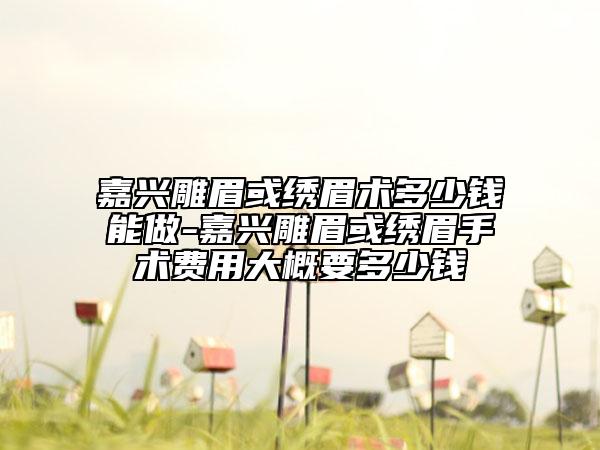 嘉兴雕眉或绣眉术多少钱能做-嘉兴雕眉或绣眉手术费用大概要多少钱