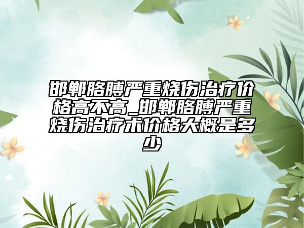邯郸胳膊严重烧伤治疗价格高不高_邯郸胳膊严重烧伤治疗术价格大概是多少