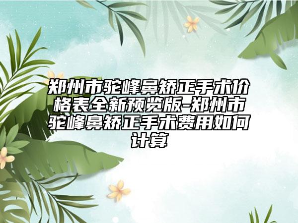 郑州市驼峰鼻矫正手术价格表全新预览版-郑州市驼峰鼻矫正手术费用如何计算