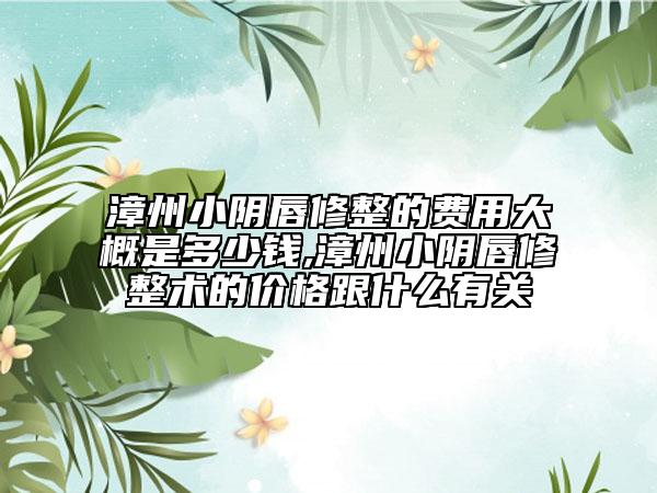漳州小阴唇修整的费用大概是多少钱,漳州小阴唇修整术的价格跟什么有关