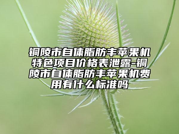 铜陵市自体脂肪丰苹果机特色项目价格表泄露-铜陵市自体脂肪丰苹果机费用有什么标准吗