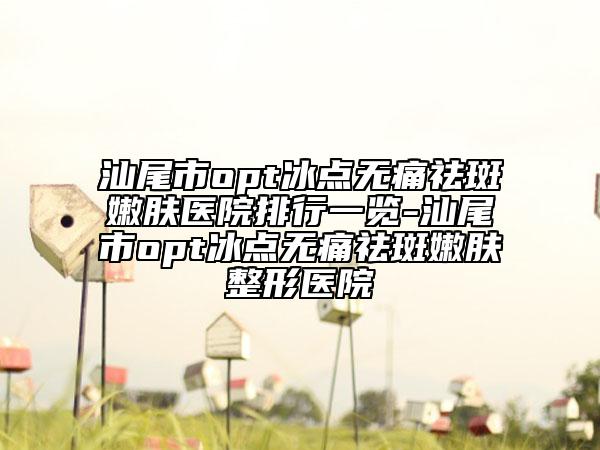 汕尾市opt冰点无痛祛斑嫩肤医院排行一览-汕尾市opt冰点无痛祛斑嫩肤整形医院