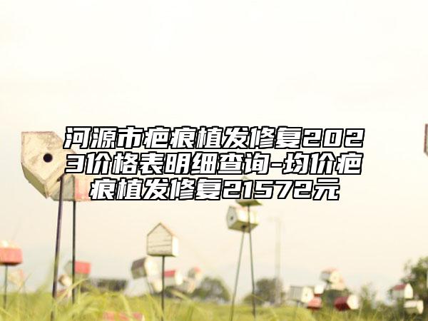 河源市疤痕植发修复2023价格表明细查询-均价疤痕植发修复21572元