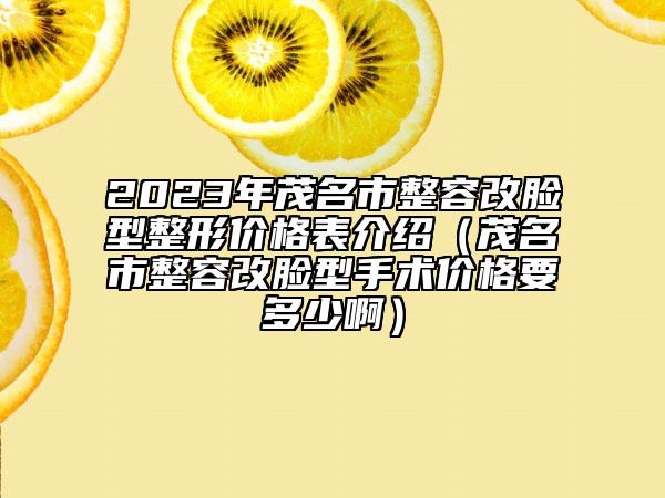 2023年茂名市整容改脸型整形价格表介绍（茂名市整容改脸型手术价格要多少啊）