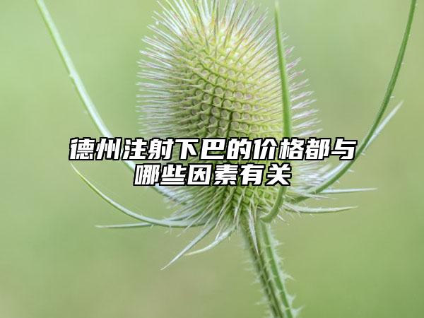 德州注射下巴的价格都与哪些因素有关