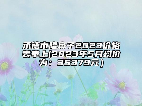 承德市隆鼻子2023价格表奉上(2023年5月均价为：35379元）