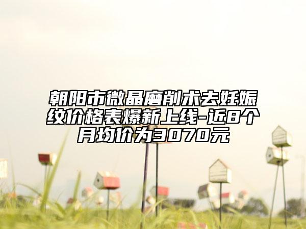 朝阳市微晶磨削术去妊娠纹价格表爆新上线-近8个月均价为3070元