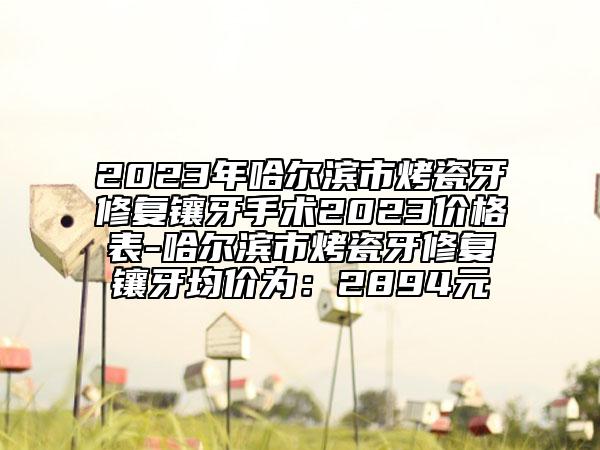 2023年哈尔滨市烤瓷牙修复镶牙手术2023价格表-哈尔滨市烤瓷牙修复镶牙均价为：2894元