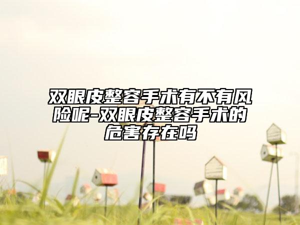 双眼皮整容手术有不有风险呢-双眼皮整容手术的危害存在吗